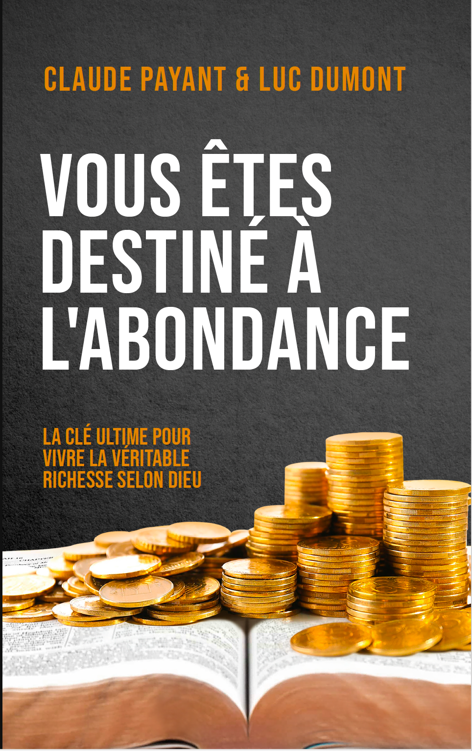 VOUS ÊTES DESTINÉ À L’ABONDANCE eBook